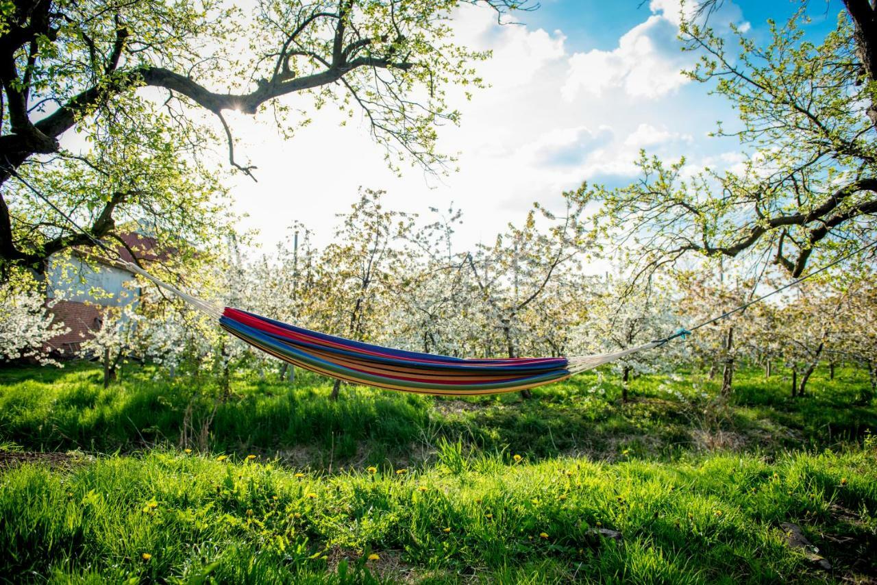 Deichkroenchen Ferienwohnung Altes Land Hamburg Jork Exteriér fotografie